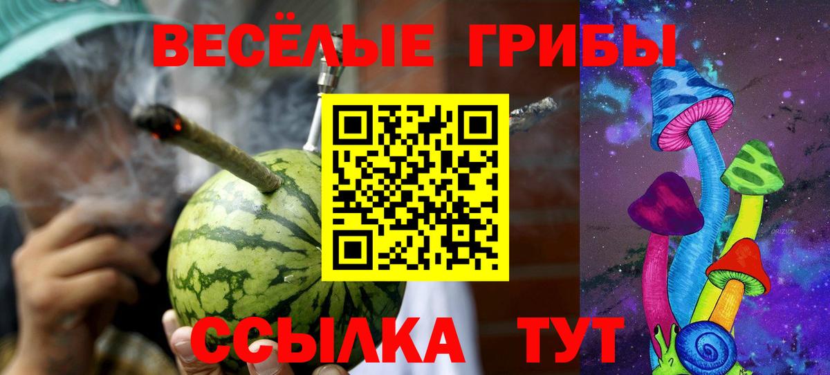Псилоцибиновые грибы MAGIC MUSHROOMS  Псилоцибиновые грибы MAGIC MUSHROOMS  магазин    Тейково  Вход с VPN 