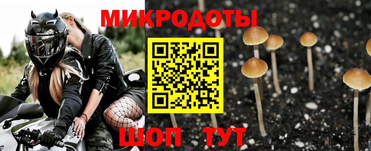 Галлюциногенные грибы GOLDEN TEACHER Тейково